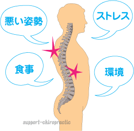 背骨のストレス